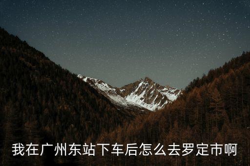 我在廣州東站下車后怎么去羅定市啊