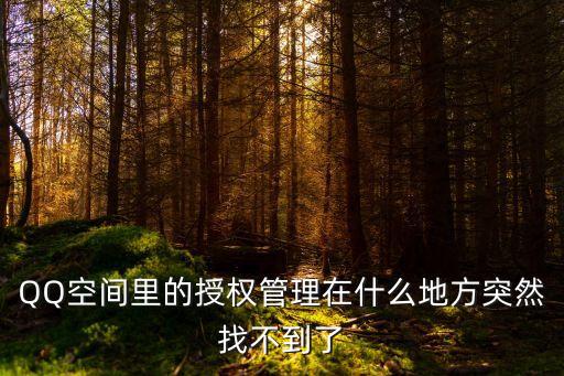 qq授權管理中心，手機QQ給第三方應用授權在哪里查看 我用的一些手機軟件以前用
