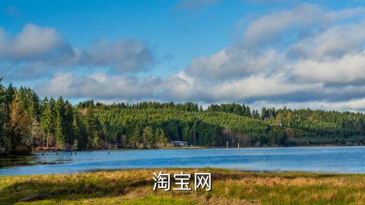 淘寶跑包，淘寶 3虛擬物品閃電發貨賣家怎么申請
