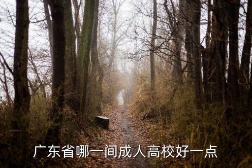 廣州函授本科哪個(gè)學(xué)校好，廣東省哪一間成人高校好一點(diǎn)