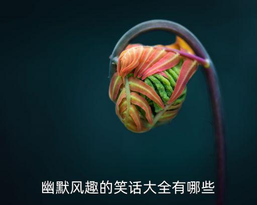100個經典幽默笑話大全，求100條經典爆笑笑話