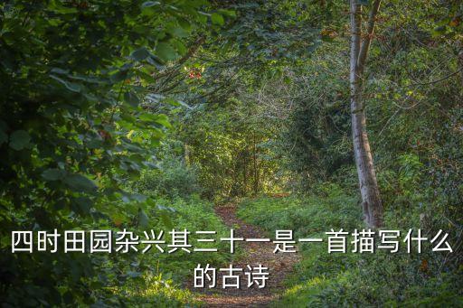 四時田園雜興其三十一是一首描寫什么的古詩