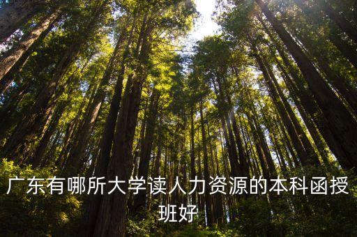 廣東有哪所大學讀人力資源的本科函授班好
