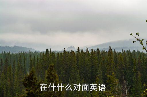 在什什么對面英語