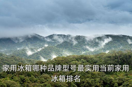 冰箱十大排名，家用冰箱哪種品牌型號最實用當前家用冰箱排名