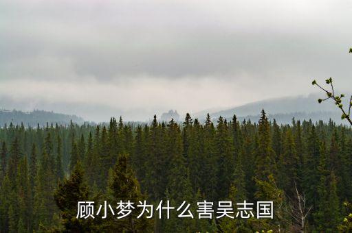 顧小夢，風聲傳奇 中顧小夢的扮演者是誰