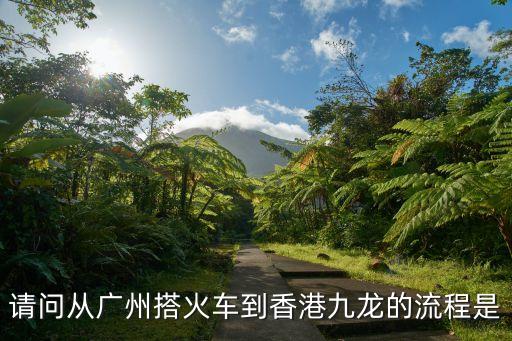 請問從廣州搭火車到香港九龍的流程是
