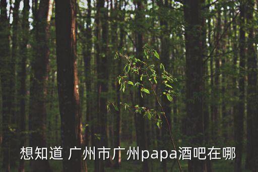 廣州蒸汽酒吧，想知道 廣州市廣州papa酒吧在哪