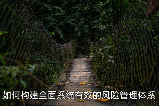 十步法，烏龜圖的十步法