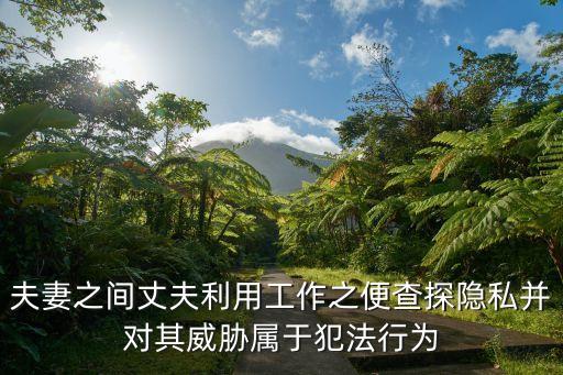 夫妻之間丈夫利用工作之便查探隱私并對其威脅屬于犯法行為