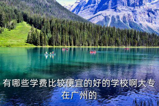 廣州便宜的大專公辦，廣州哪里有學(xué)費(fèi)較低的大專院校啊