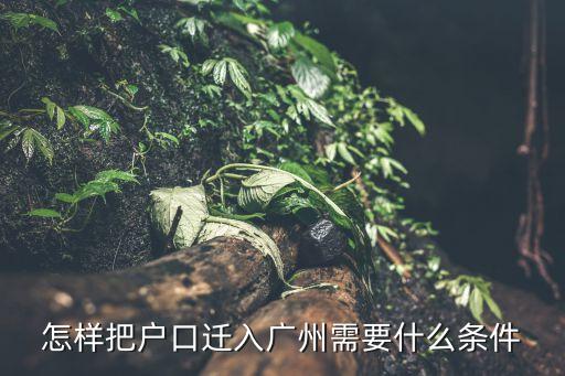 怎樣把戶口遷入廣州需要什么條件