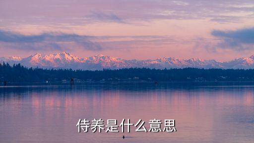 侍養(yǎng)是什么意思