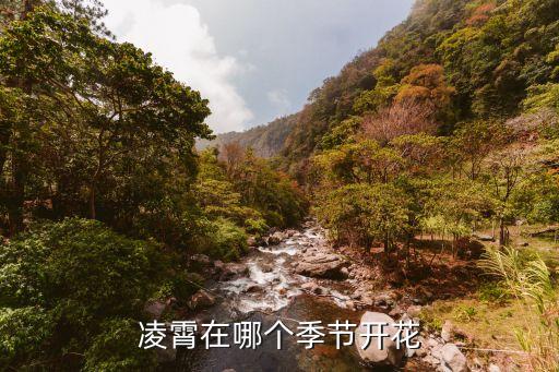 凌霄花花期，凌霄在哪個季節開花