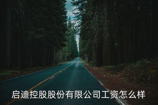 啟迪控股廣州分公司，誰知道啟迪控股股份有限公司是做什么的
