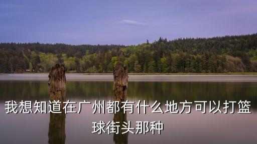 廣州石榴崗洛克公園籃球，西四街與洛克公園倒底哪個才是街頭籃球場的至尊圣殿