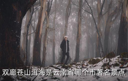 雙廊蒼山洱海是云南省哪個市著名景點