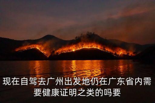 6月出入廣州最新規定自駕，現在自駕去廣州出發地仍在廣東省內需要健康證明之類的嗎要