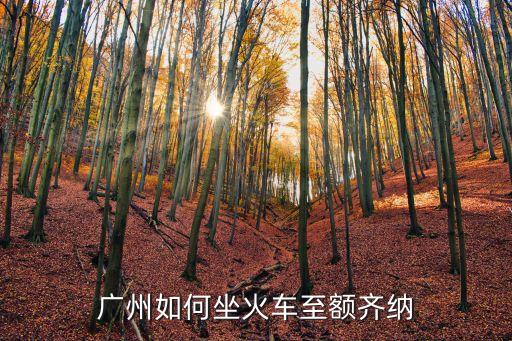 廣州如何坐火車至額齊納