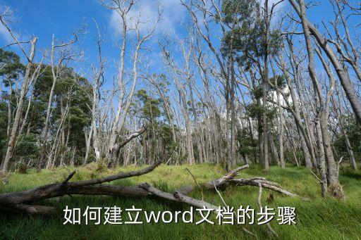 新建word文檔，如何建立word文檔的步驟