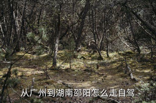 從廣州自駕去邵陽，自己開車廣州到邵陽的最近路線