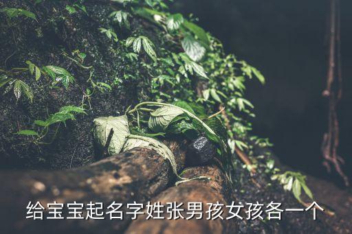 給寶寶起名字姓張男孩女孩各一個