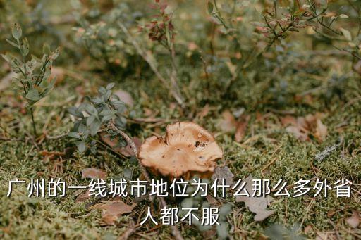 廣州市有多強大，廣州的一線城市地位為什么那么多外省人都不服