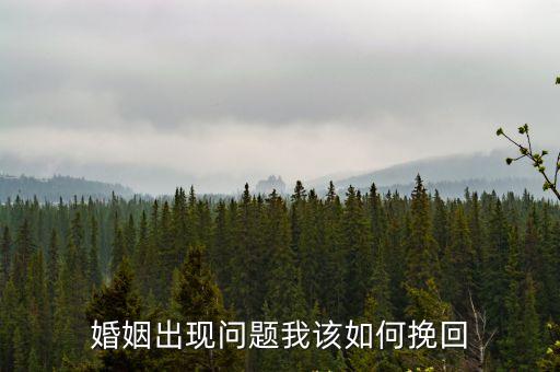 婚姻出現(xiàn)問(wèn)題我該如何挽回