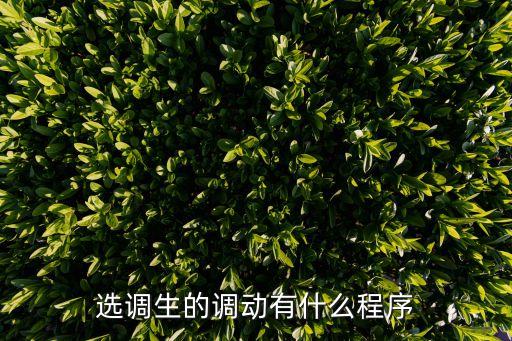 選調生的調動有什么程序