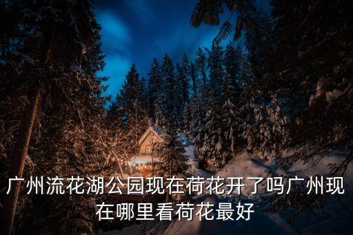 廣州流花湖公園現(xiàn)在荷花開了嗎廣州現(xiàn)在哪里看荷花最好