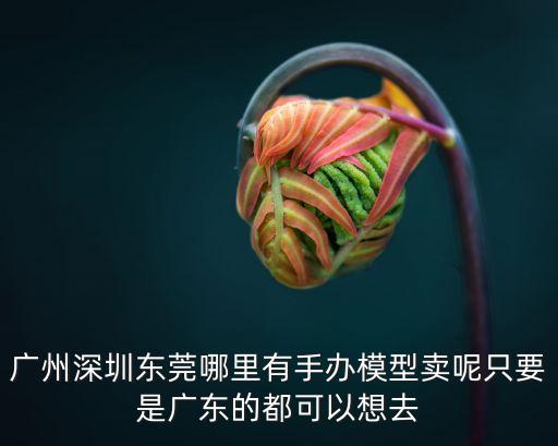 廣州手辦男，廣州哪里買手辦最便宜