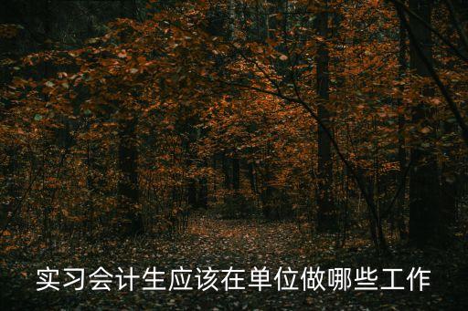 財(cái)務(wù)實(shí)習(xí)生，第一次去財(cái)務(wù)公司實(shí)習(xí)應(yīng)該注意些什么問題