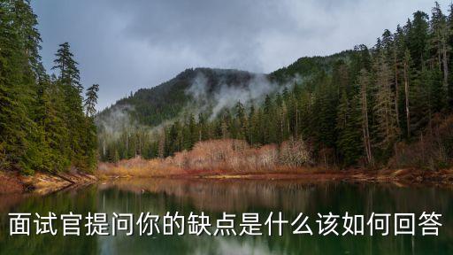 你有什么缺點，你的缺點是什么