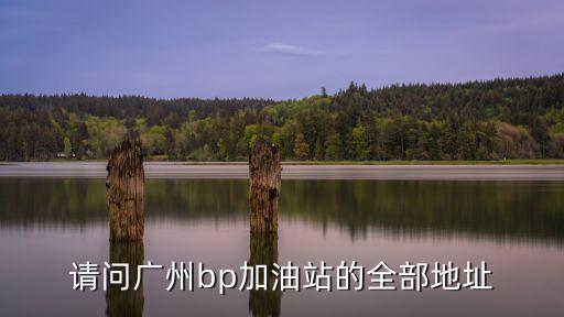請問廣州bp加油站的全部地址