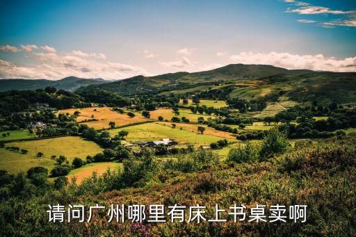 廣州家具沙發(fā)帶床的，請問廣州哪里有床上書桌賣啊