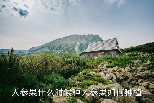 人參果種植條件和方法，人參果什么時候種人參果如何種植