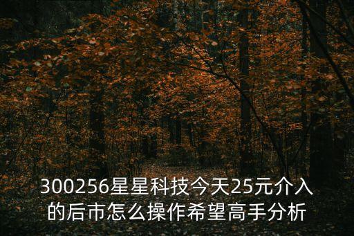 300256星星科技今天25元介入的后市怎么操作希望高手分析