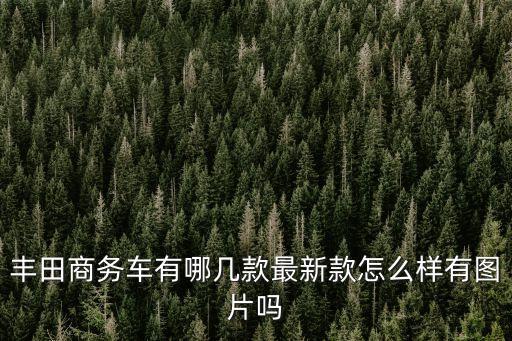 廣州豐田商務車圖片大全，廣汽豐田漢蘭達本人喜歡7座同9座或商務車