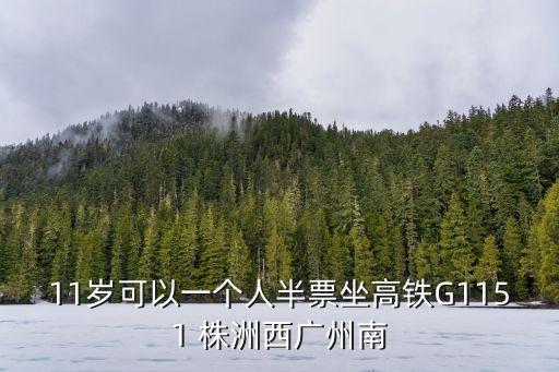 11歲可以一個(gè)人半票坐高鐵G1151 株洲西廣州南