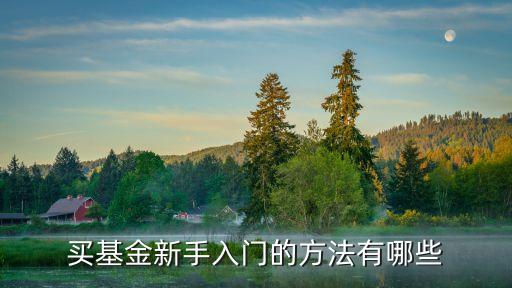基金入門，基金 怎么入門想弄基金