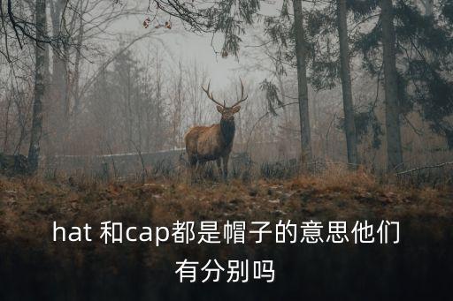 hat 和cap都是帽子的意思他們有分別嗎