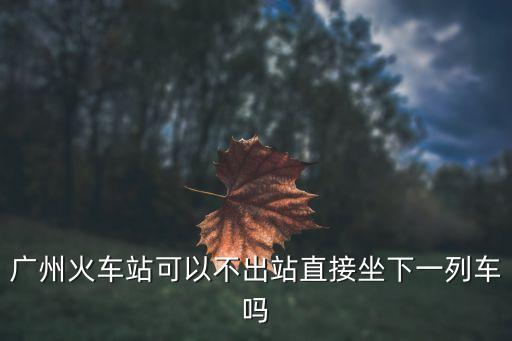 廣州火車站不出站可以嗎，廣州火車站可以不出站直接坐下一列車嗎