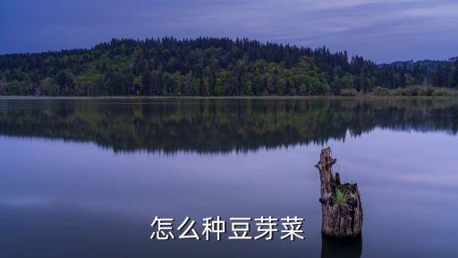 怎么種綠豆芽，怎樣可以自己在家培育出綠豆芽
