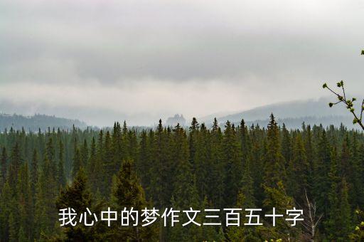 我心中的夢作文三百五十字