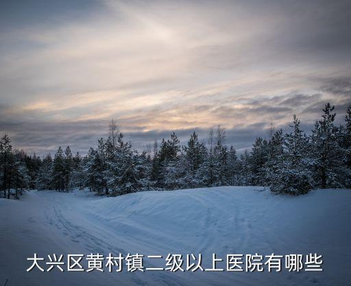 二級以上醫院，大興區黃村鎮二級以上醫院有哪些