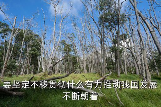 必須堅定不移貫徹什么的發展理念，我國堅定不移的堅持什么發展觀念