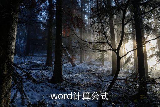 word計算，word計算公式