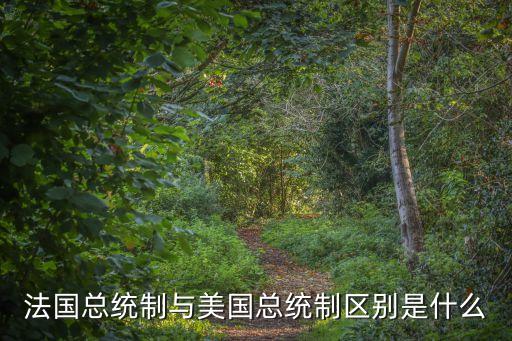 總統制國家，最早實行總統制的國家是