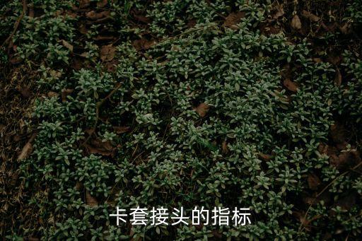卡套接頭的指標