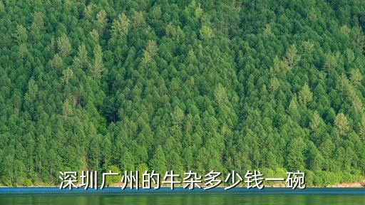 深圳廣州的牛雜多少錢一碗